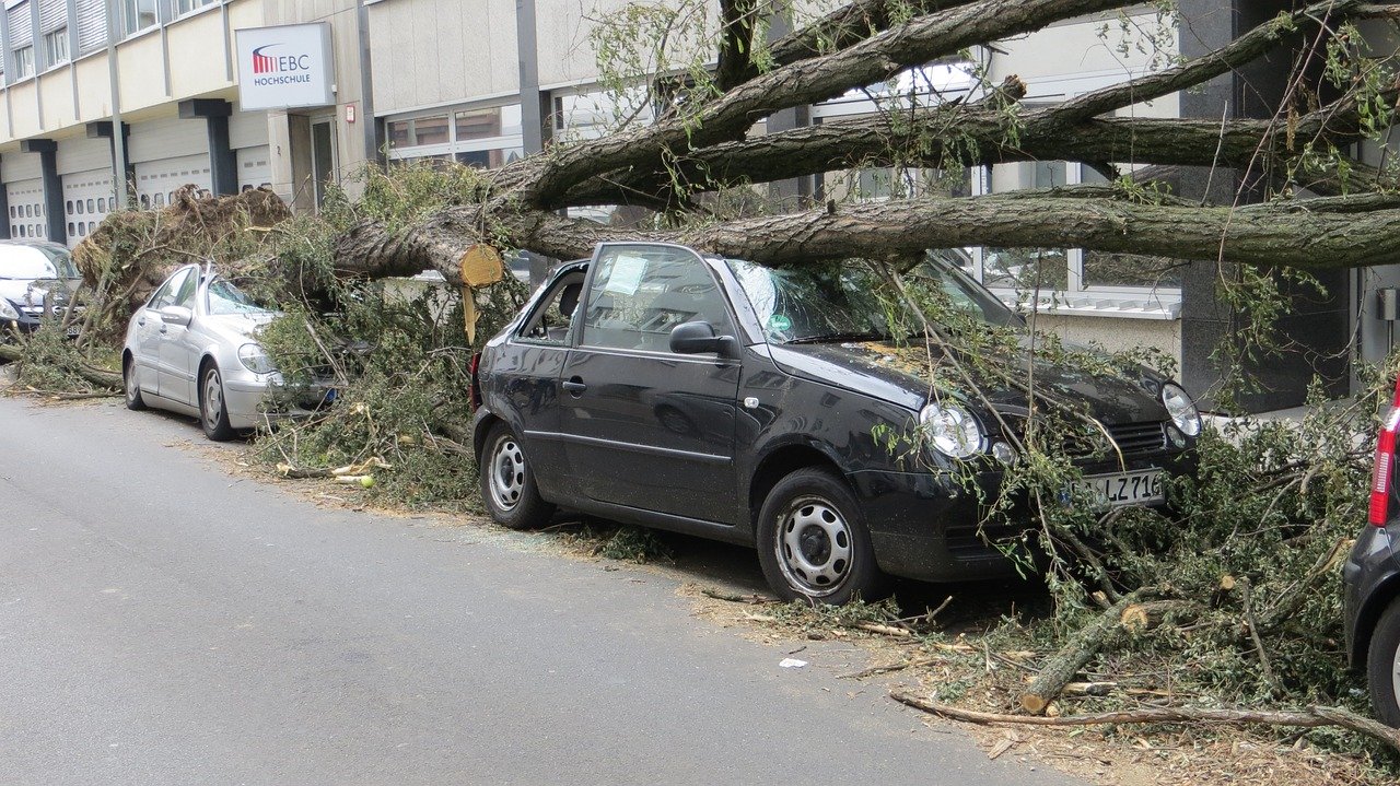 storm-damage-1481036_1280 baum auf auto gestürzt